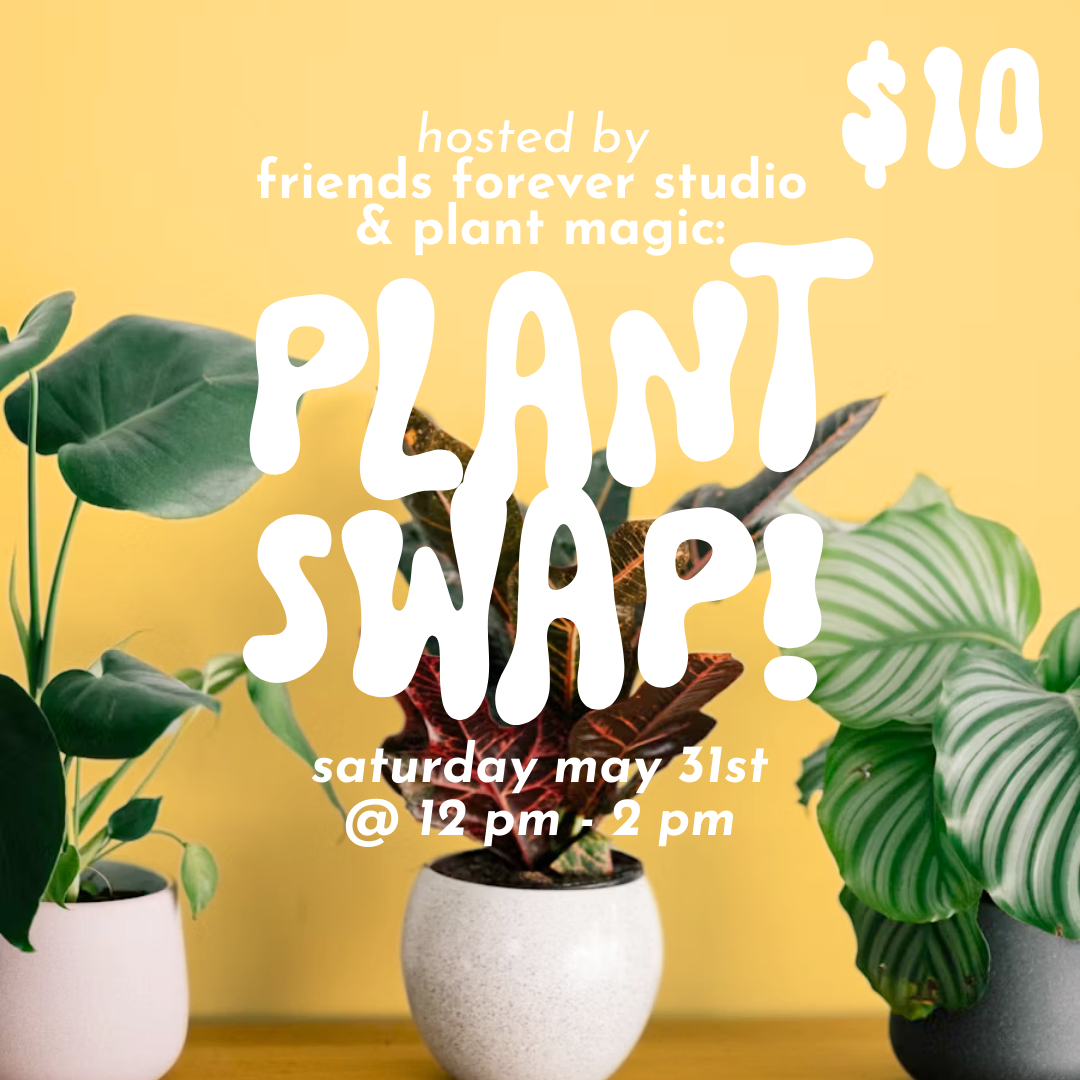 Beverly Plant Swap // Sat May 31st 12-2pm