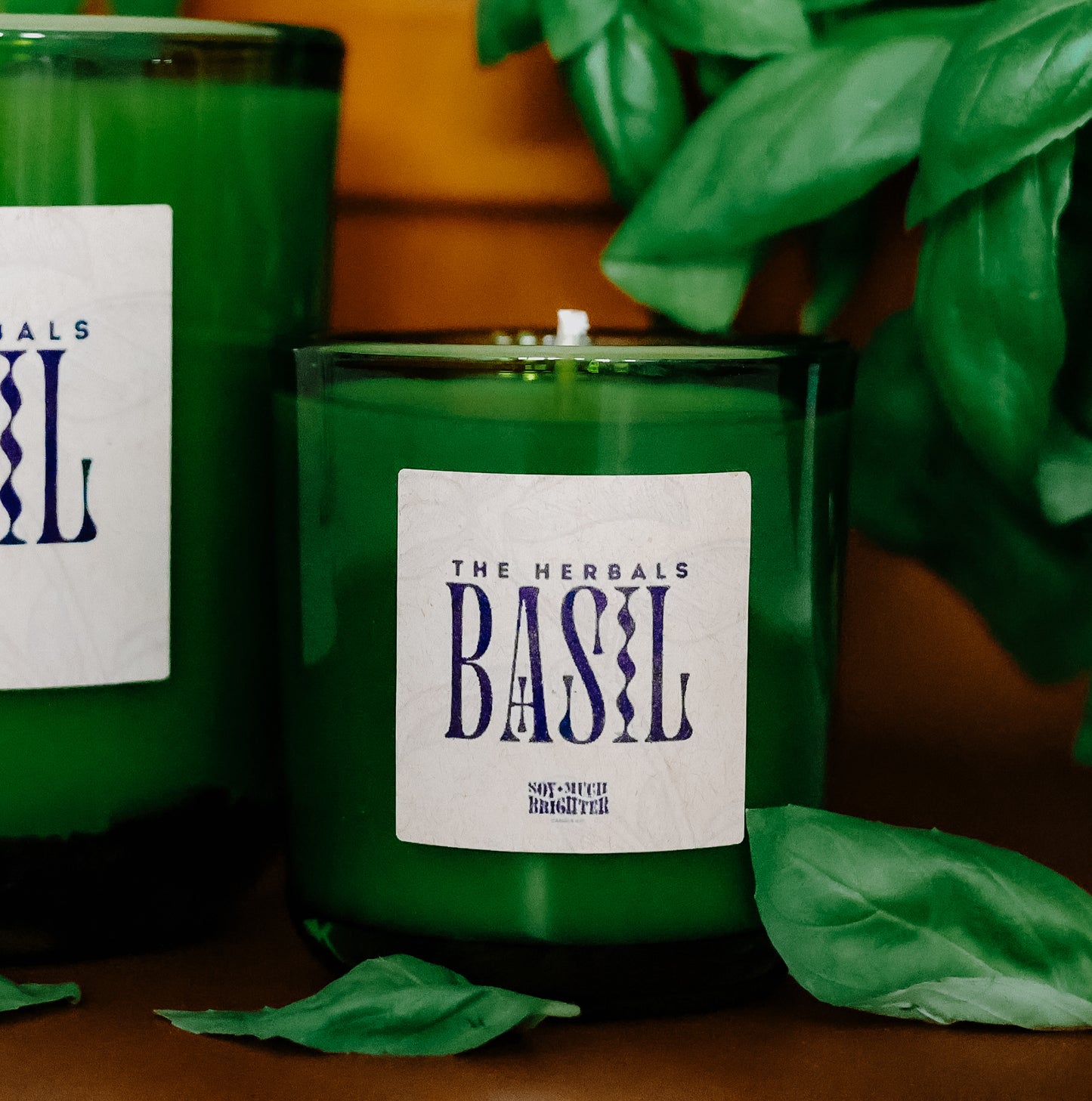 Basil // The Herbals Collection // Mini