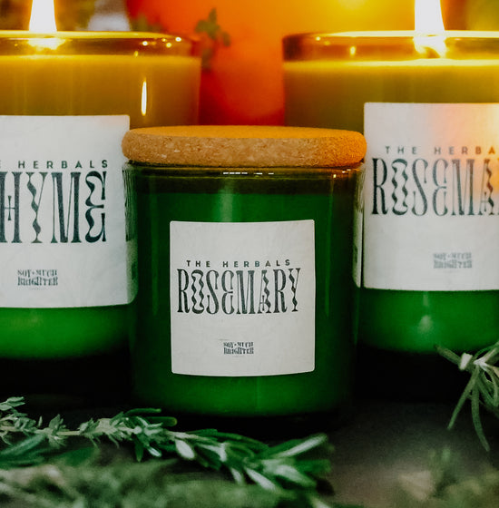 Rosemary // The Herbals Collection // Mini